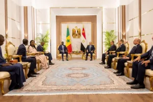 Energy, health, transport: Egyptian companies on the offensive on the Senegalese market
