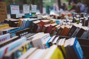 FILDAK: the State wants to strengthen the role of book professionals