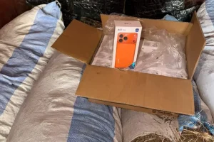 Fight against fraud: 3,200 phones seized from a hay truck in Keur Ayib