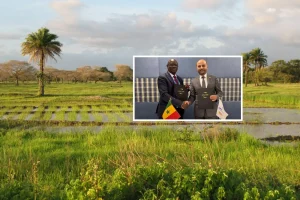 Food security and agricultural resilience: around 37.4 billion CFA francs allocated to Senegal