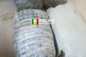 Mbour: 160.75 kg of Indian hemp seized by the police