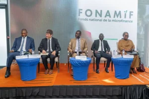 Microfinance activities: the 30th coordination session advocates sustainable financing
