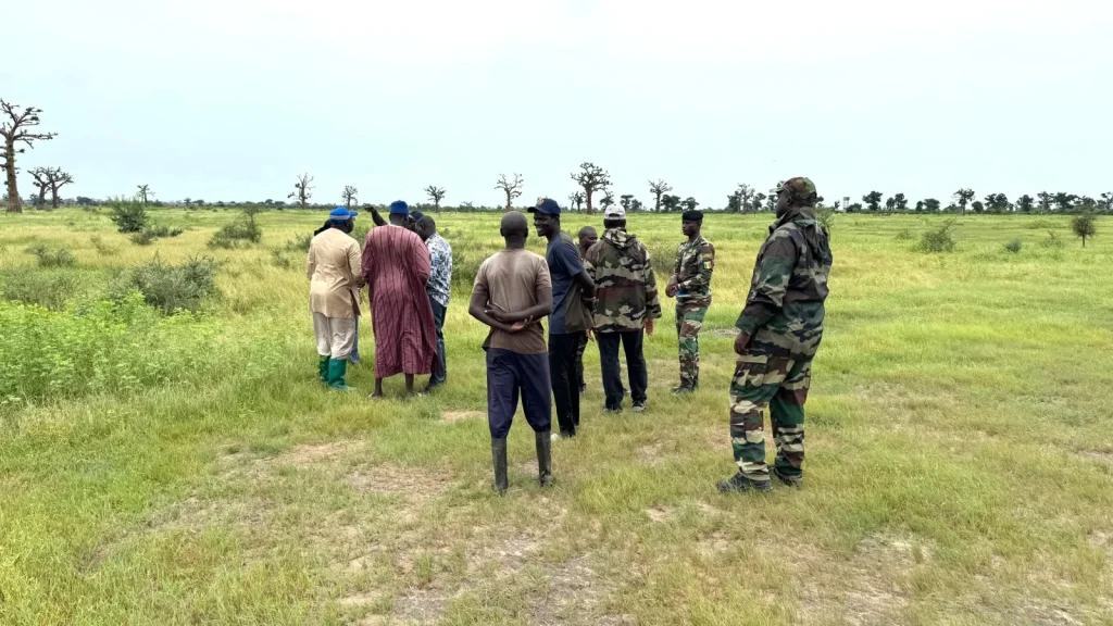 Ndingler: 80 hectares to be developed for the benefit of 39 families
