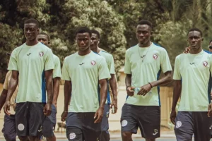 Pro League: Generation Football, very far from being ready