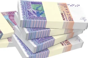 Structure of Senegal’s issues on the public securities market: Factors for improvement