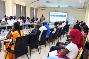 Tamba: Media mobilized against disinformation and violent extremism