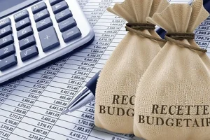 Tax revenue: An increase of nearly 400 billion FCfa in the second quarter of 2026