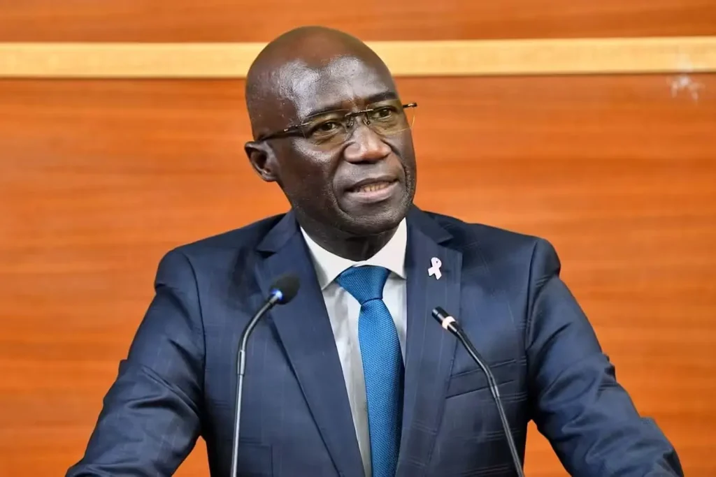 Upon receipt of the passed law: the Government will refer the matter to the Constitutional Council
