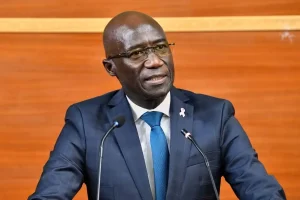 Upon receipt of the passed law: the Government will refer the matter to the Constitutional Council
